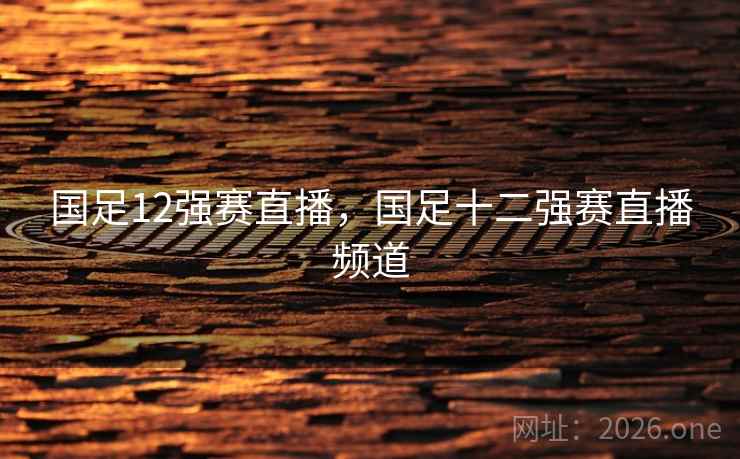 国足12强赛直播，国足十二强赛直播频道