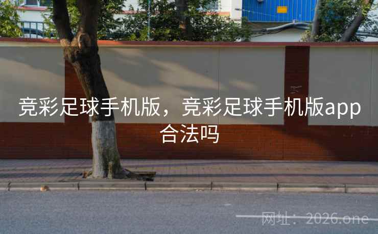 竞彩足球手机版，竞彩足球手机版app合法吗