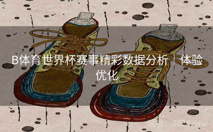 B体育世界杯赛事精彩数据分析｜体验优化