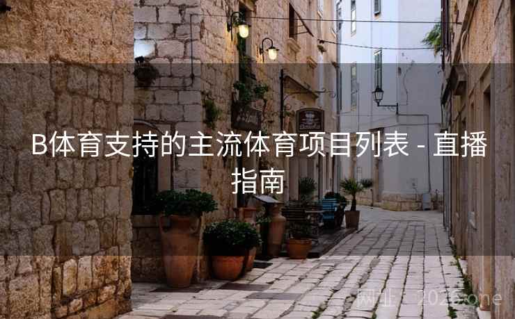 B体育支持的主流体育项目列表 - 直播指南