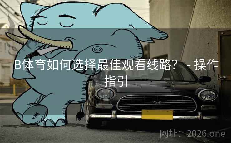B体育如何选择最佳观看线路？ - 操作指引