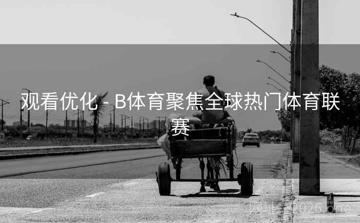 观看优化 - B体育聚焦全球热门体育联赛