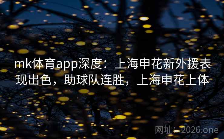 mk体育app深度:上海申花新外援表现出色,助球队连胜,上海申花上体