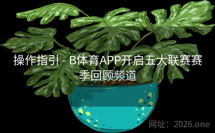 操作指引 - B体育APP开启五大联赛赛季回顾频道