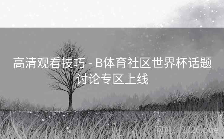高清观看技巧 - B体育社区世界杯话题讨论专区上线