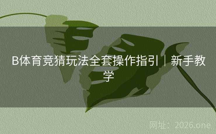 B体育竞猜玩法全套操作指引|新手教学