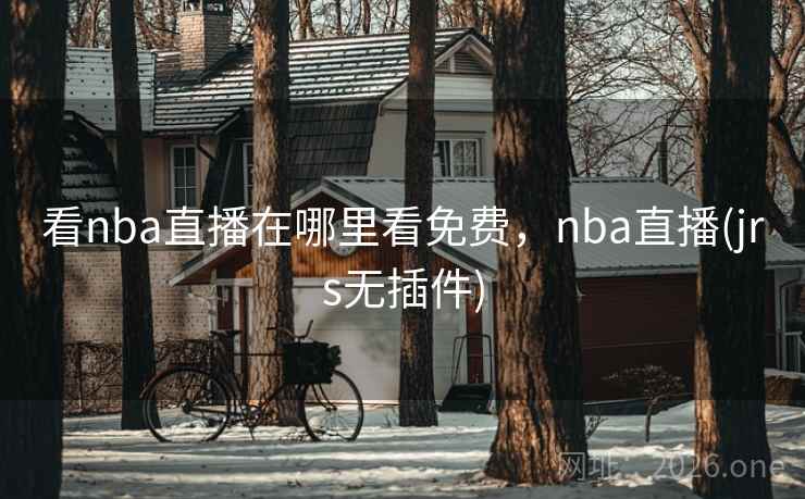 看nba直播在哪里看免费,nba直播(jrs无插件)