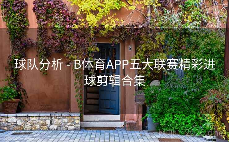球队分析 - B体育APP五大联赛精彩进球剪辑合集