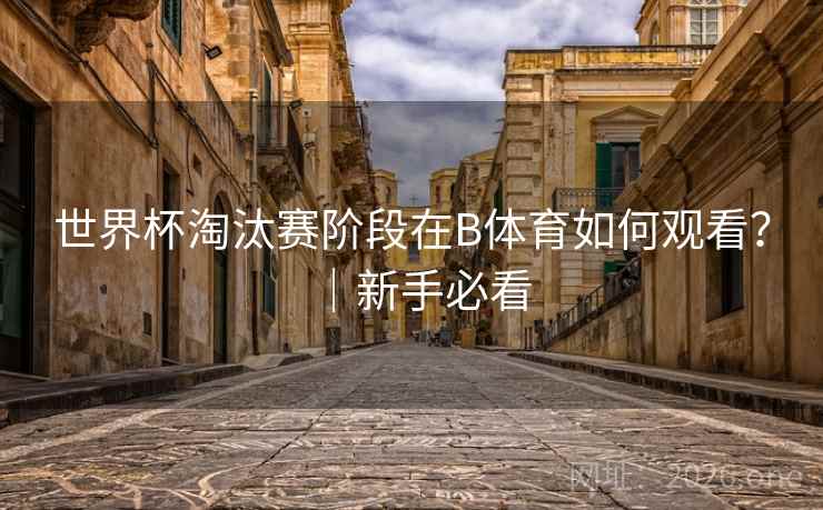 世界杯淘汰赛阶段在B体育如何观看?|新手必看