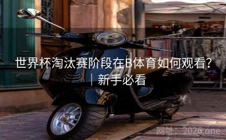 世界杯淘汰赛阶段在B体育如何观看?|新手必看