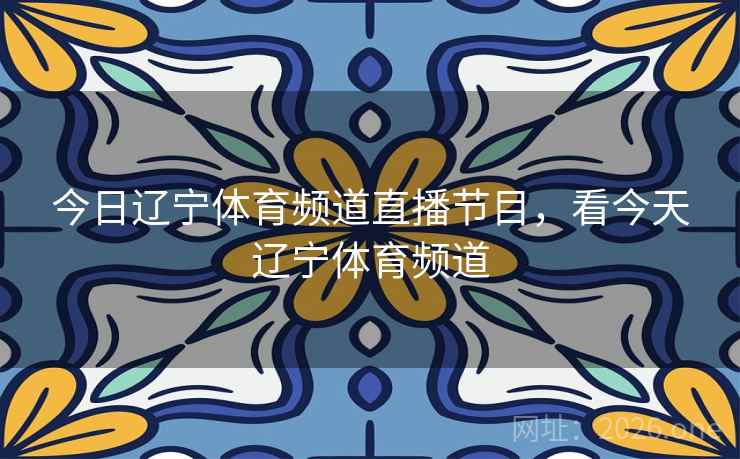 今日辽宁体育频道直播节目,看今天辽宁体育频道