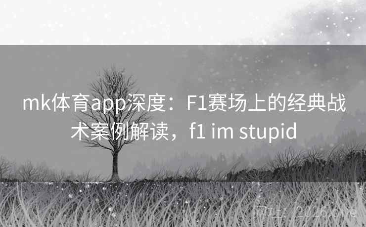 详细阅读:mk体育app深度:F1赛场上的经典战术案例解读,f1 im stupid mk体育app深度:F1赛场上的经典战术案例解读,f1 im stupid